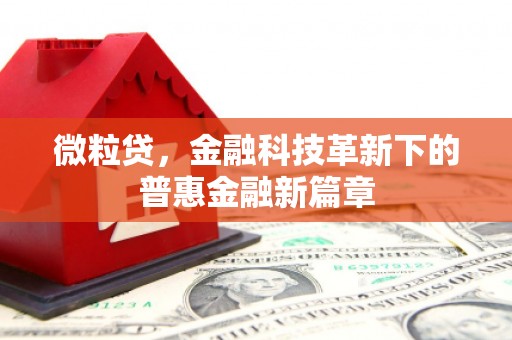 员山微粒贷，金融科技革新下的普惠金融新篇章