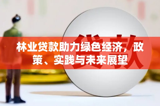 员山林业贷款助力绿色经济，政策、实践与未来展望