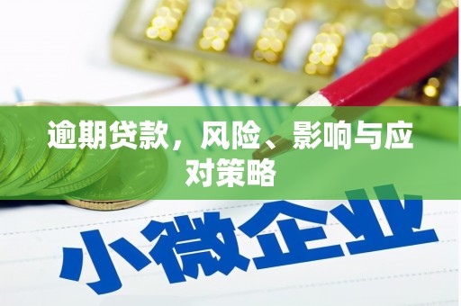 员山逾期贷款，风险、影响与应对策略