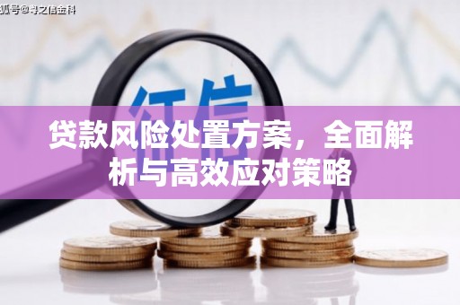 员山贷款风险处置方案，全面解析与高效应对策略