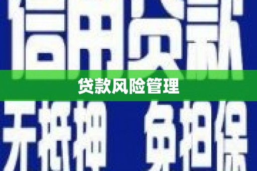 员山贷款风险管理