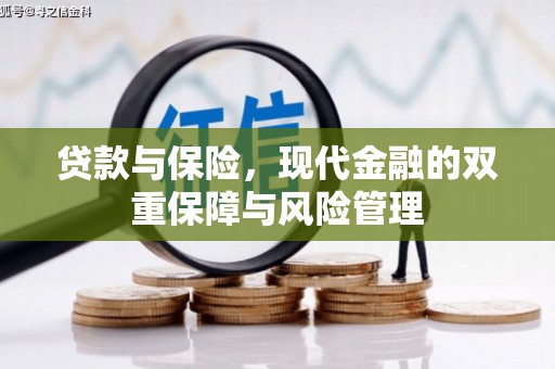 员山贷款与保险，现代金融的双重保障与风险管理