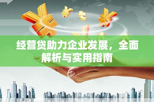 员山经营贷助力企业发展，全面解析与实用指南