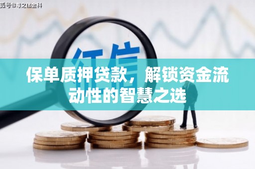 员山保单质押贷款，解锁资金流动性的智慧之选