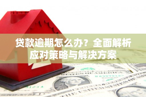 员山贷款逾期怎么办？全面解析应对策略与解决方案