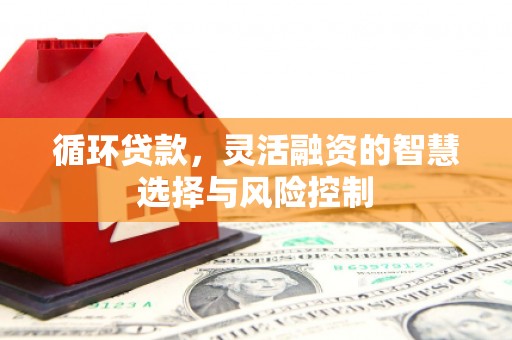 员山循环贷款，灵活融资的智慧选择与风险控制