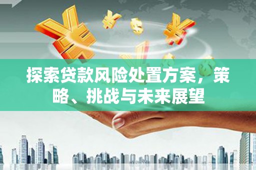 员山探索贷款风险处置方案，策略、挑战与未来展望