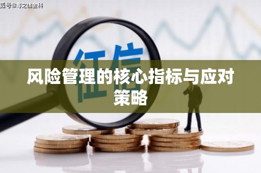 员山风险管理的核心指标与应对策略