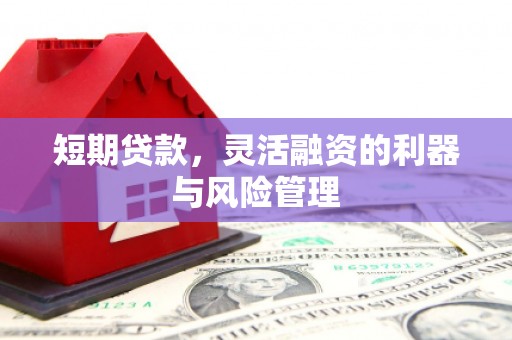 员山短期贷款，灵活融资的利器与风险管理
