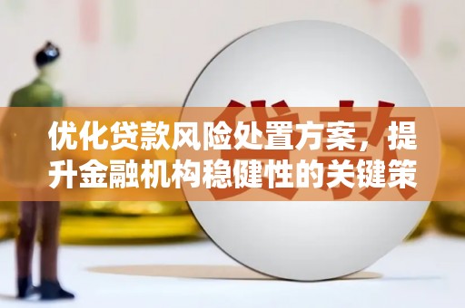 员山优化贷款风险处置方案，提升金融机构稳健性的关键策略
