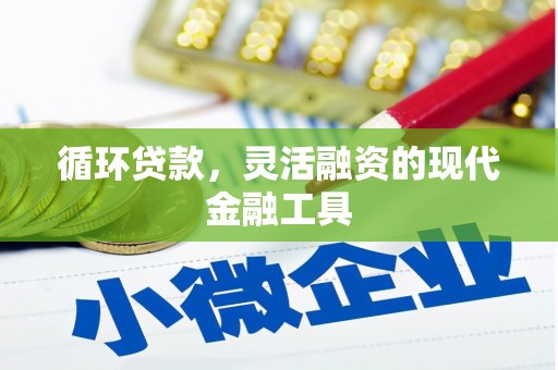 员山循环贷款，灵活融资的现代金融工具