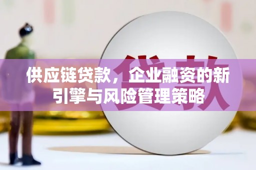 员山供应链贷款，企业融资的新引擎与风险管理策略