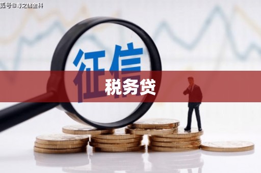 员山税务贷