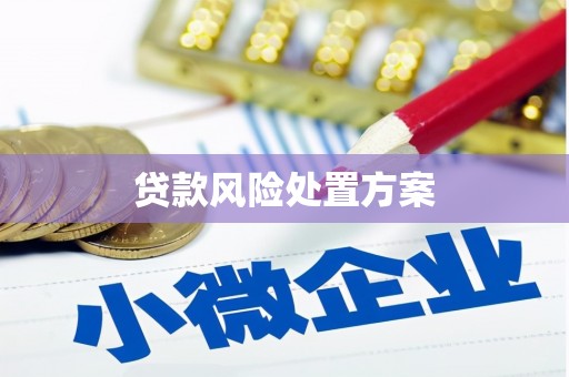 员山贷款风险处置方案