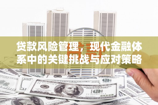 员山贷款风险管理，现代金融体系中的关键挑战与应对策略