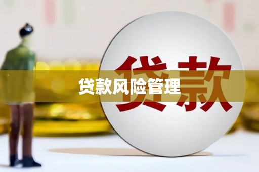 员山贷款风险管理