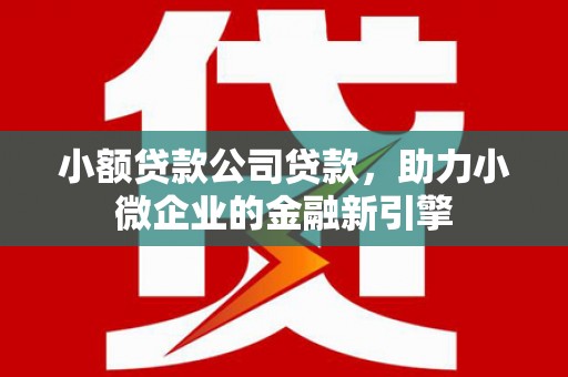 员山小额贷款公司贷款，助力小微企业的金融新引擎