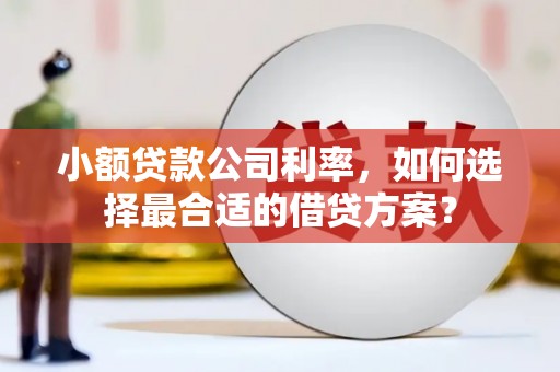 员山小额贷款公司利率，如何选择最合适的借贷方案？