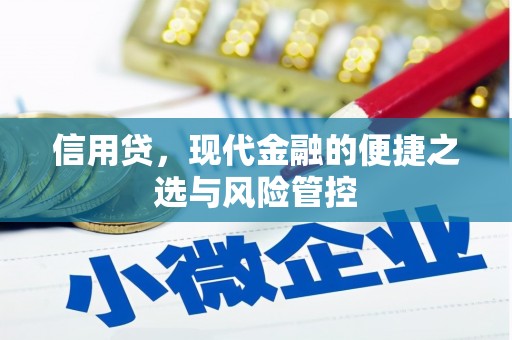 员山信用贷，现代金融的便捷之选与风险管控