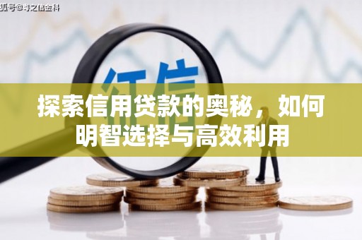员山探索信用贷款的奥秘，如何明智选择与高效利用