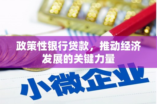 员山政策性银行贷款，推动经济发展的关键力量