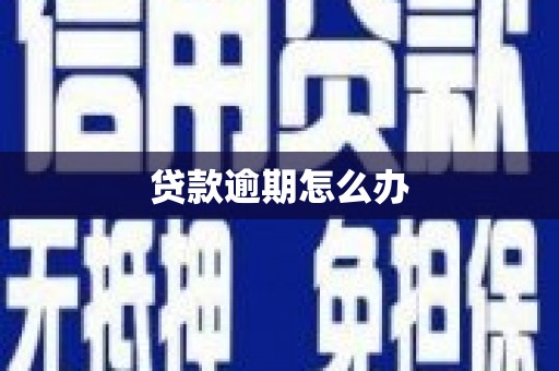 员山贷款逾期怎么办