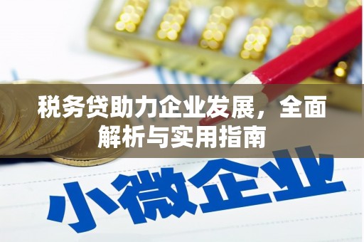 员山税务贷助力企业发展，全面解析与实用指南