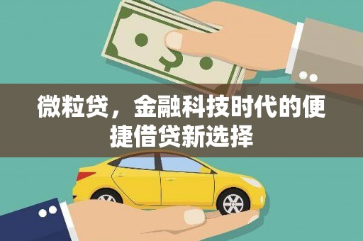 员山微粒贷，金融科技时代的便捷借贷新选择