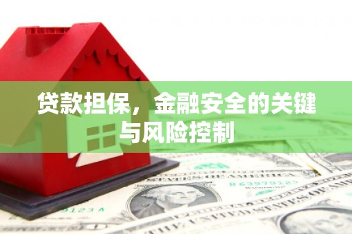 员山贷款担保，金融安全的关键与风险控制
