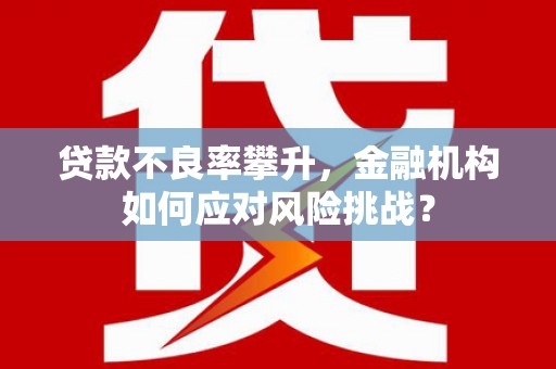 员山贷款不良率攀升，金融机构如何应对风险挑战？