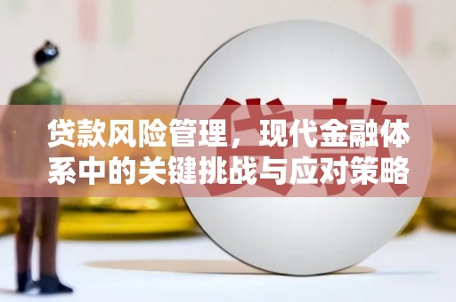 员山贷款风险管理，现代金融体系中的关键挑战与应对策略