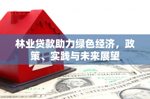 员山林业贷款助力绿色经济，政策、实践与未来展望