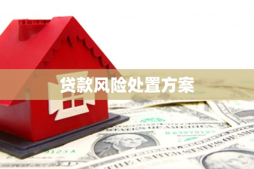 员山贷款风险处置方案