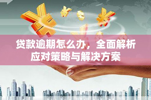 员山贷款逾期怎么办，全面解析应对策略与解决方案