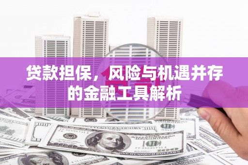 员山贷款担保，风险与机遇并存的金融工具解析