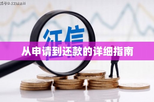 员山从申请到还款的详细指南