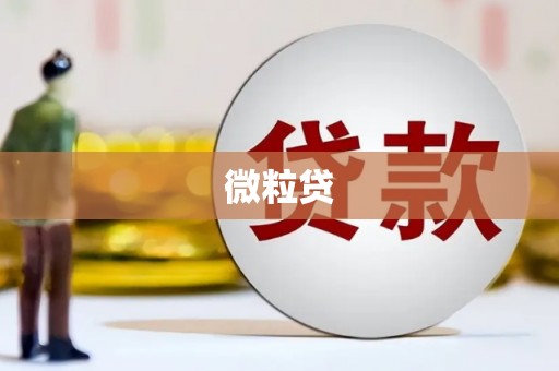 员山微粒贷