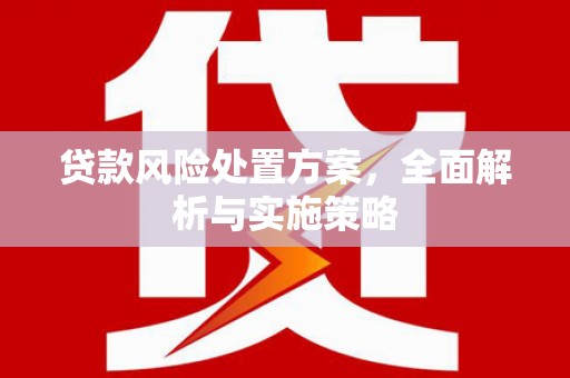 员山贷款风险处置方案，全面解析与实施策略